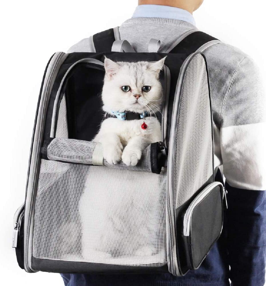 Pet Backpack Carrier for Small Cats Dogs | Ventilated Design, Safety Straps, Buckle Support, Collapsible | Designed for Travel, Hiking, Walking & Outdoor Use